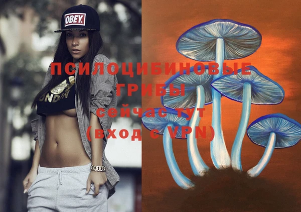 мяу мяу мука Краснотурьинск