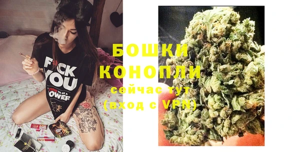 spice Краснослободск