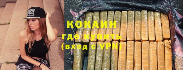 spice Краснослободск