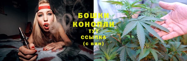 spice Краснослободск