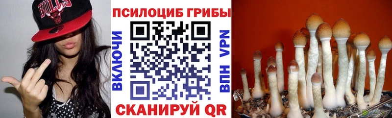 Псилоцибиновые грибы GOLDEN TEACHER Мостовской