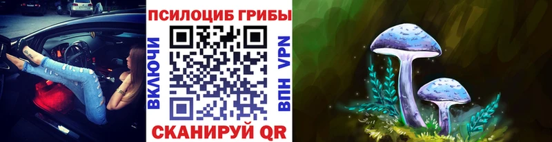 Галлюциногенные грибы GOLDEN TEACHER Мостовской